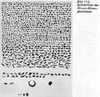 Splitteraufnahme Minengescho�